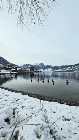Eisbaden Workshop Sanrnersee